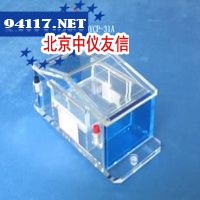 DYCP-31A六一琼脂糖电泳槽（微型）DYCP-31A